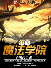 魔法师 幻梦位面小说