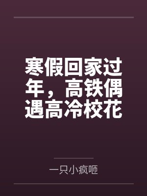 寒假回家过年，高铁偶遇高冷校花