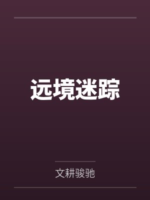 远境迷踪