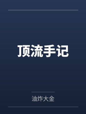 顶流手记