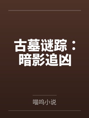 古墓谜踪：暗影追凶